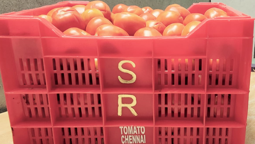 S.R &M G R TOMATO